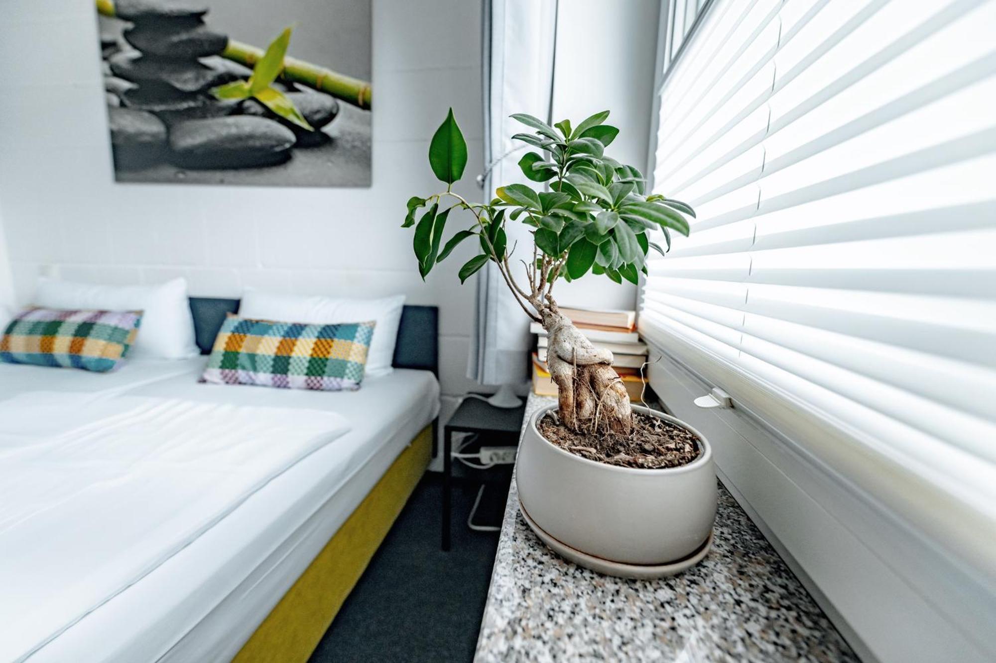 Pension Café Nina Benz  Chambre photo